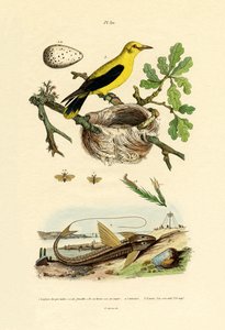 松のハエ、1833-39 作： French School